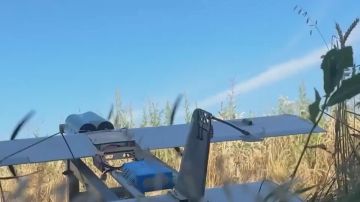 ��������� ���: ����� ���� �� ����� ������������ ����������� ������ ����� ������