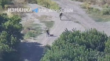 ���� ���� �� �� ���� 3 ����� ��� � �.�. ����������