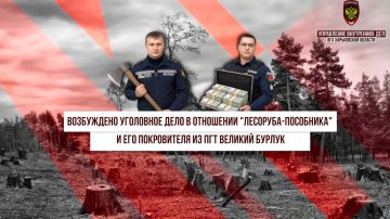 ���������� ��������� ���� � ��������� ���������-��������� �� ����������������� ������