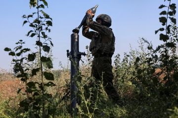 ��������� ����: ���������� ������ �������� �������� � ��������� � ���������