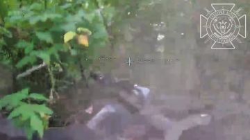 Планомерный вынос транспорта ВСУ в лесах Харьковской области
