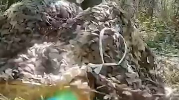 �� ������ ���������� ������� � �������������� ������ ��� � ����������� �������