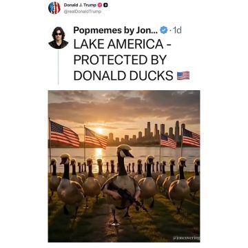 Тем временем Трамп окончательно еб...ся сошел с ума и запостил боевых гусей похожих на него