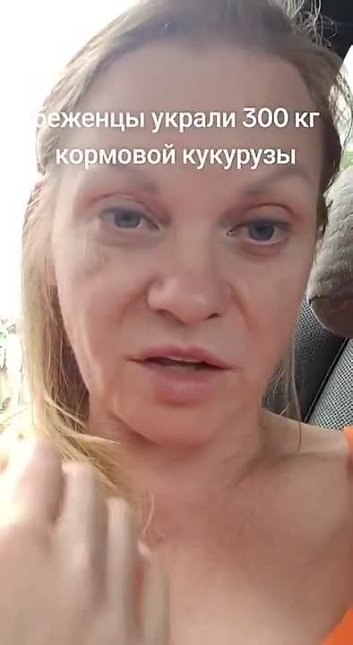 Осторожно мат В середине августа в Германии разразился очередной скандал: "боги, сошедшие с небес", похитили 300 килограммов кормовой кукурузы с поля