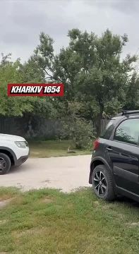 Харьков, ул. Половецкая
