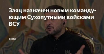 Ну, заяц, погодиии!. С людьми у них там совсем беда). Впрочем, Заяц с Драпатым — хороший тандем. Говорящий прям)) ДОБРОЕ УТРО Мы в: