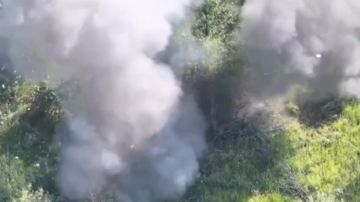 ������� FPV-������ ���������� ������� � ���� ��� � ����������� �������
