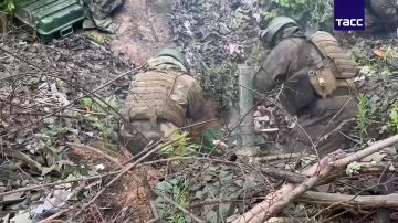 ����� ������������ �������� ��� ���������� ������� ���������� � ����������� �������