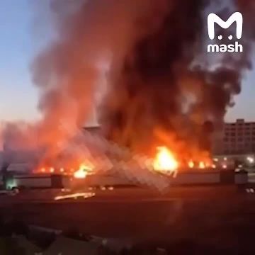 �� �� �� ���� ������� ����� ������ �� �������� � �����, ���������, ��������, ���������������� � ������� ��������