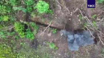 Кадры взятия под контроль Гоптовки в Харьковской области