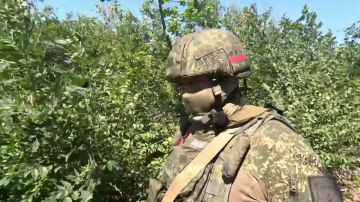 ����� ����������� �������: ������ ���� � ����� �� ���������