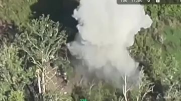 ������� ���������: ������ ��������������� "�����" �� ������-������� ����������� ������� ���� ����������� ����������� ������� � ����� ���� ���������� ������������