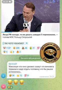 Сикорский насмешил ВСЕХ!. Он заявил, что если Россия нападет на Польшу, та одержит быструю победу благодаря "превосходству в авиации" даже без помощи США