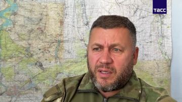 Остающиеся у Волчанска силы ВСУ сдерживают ВС РФ, пока Киев строит новую оборону, сообщил ТАСС военный эксперт Виталий Киселев