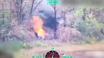 FPV-����� ���������� ��������� Krab � ����������� �������