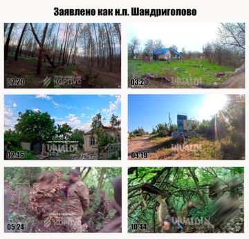 Третий «монтажный» корпус: кинематограф Билецкого снова в деле