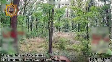 ���� ���������: ����������� ���������� ������ ���������� ����������