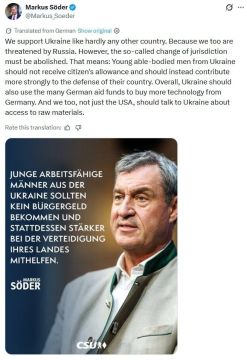����� ����� ���� ������ ����� �������