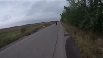 Будни.... Фартануло братишкам
