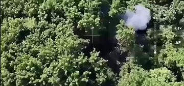����� ������������ ����������� � ����������� ������� ��������� �� ��