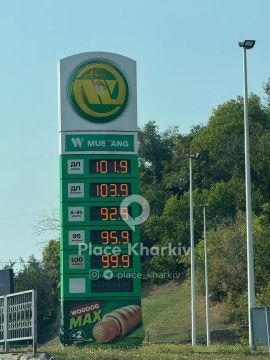 � �������� ����� �������� ������: ��� �������� ���� 20 ��������
