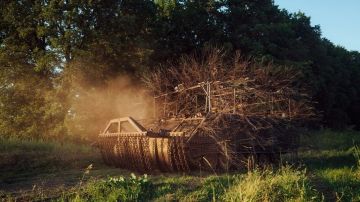 ВСУ проводят операцию «Вивальди», сводка событий в зоне СВО