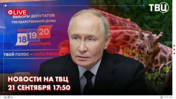 �������� ����� ������ � ������ ������� � ������������� ����������� ���������� ������ �������� ���������