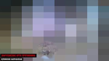 �� �����. �������� ����� ������� � ���� 377-��