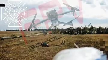 ����������� �����������. ����� �������� �������� ������� ��������� ������� ������ ��� ���