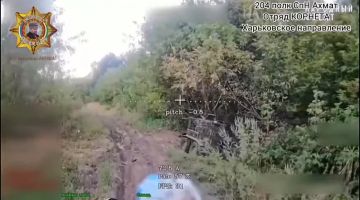 ���� ���������: ����������� ��������� ���������������� ��������� � ������� ����� ����������