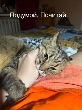 ���� ���������: ��� �� � � ����� ����������� ������ �� ���� ������� �����������