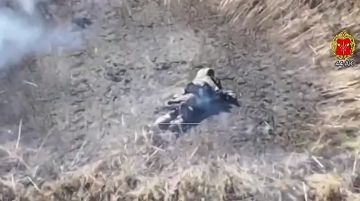 ������� ����������� ������