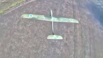 ������� ���������: ������ �� ���������� � ������� � ���� ��� ����������� ��������