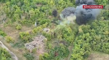 ������� �� �����: ����� ���������� � ����� ������ ��������� ���������� ��� � ����������� �������