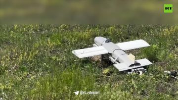 Зачистили небо от вражеских дронов и разнесли позиции прячущихся вэсэушников: кадры освобождения села Хрипуны в Харьковской области