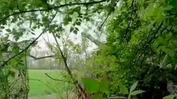 Минобороны показало видео с боями за Крейдянку в Харьковской области
