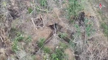 ���������� ������������ ����� ������������ �������� � ����������� �������, � ����� ������������ �������� ��� ��������� � ����������� � ������������� � �������