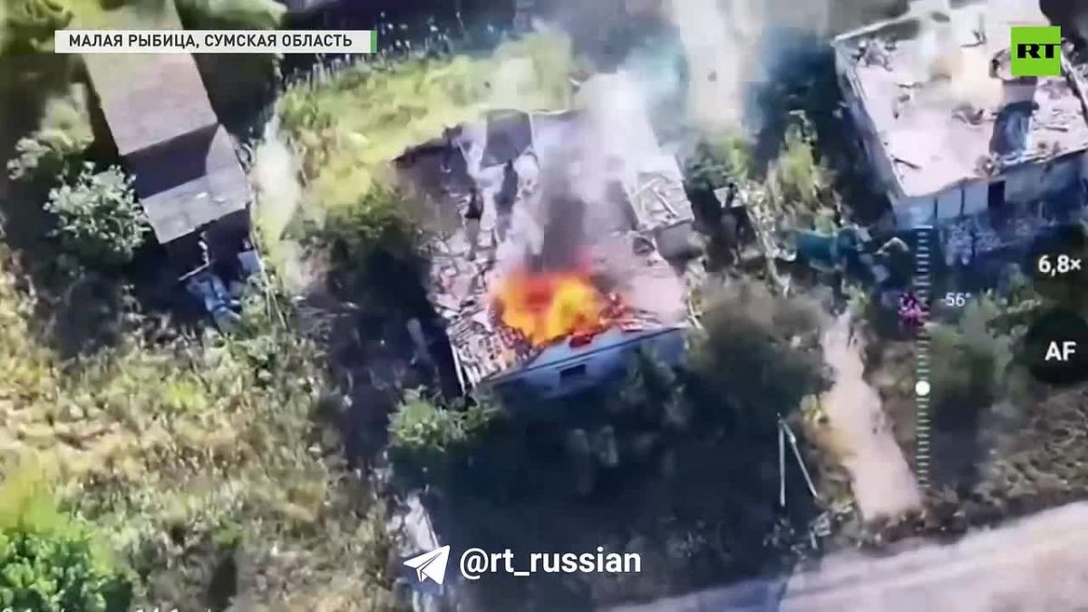 Показываем, как наши бойцы освобождали населённые пункты Грачёвка и Сердобино в Харьковской области, а также Малая Рыбица в Сумской