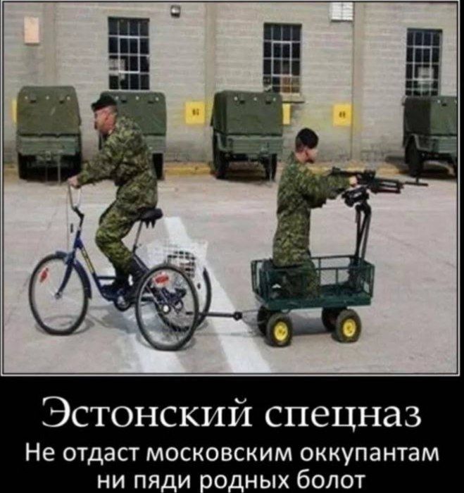 Financial Times: Эстония срочно перебрасывает "элитные войска" к российской границе в рамках программы "активной обороны"