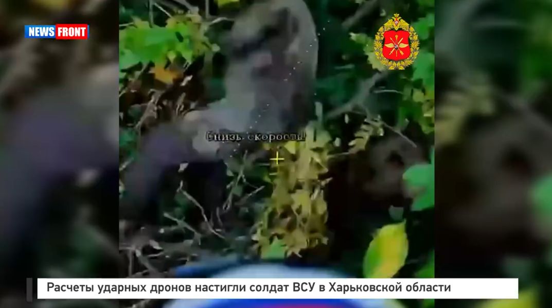 Расчеты ударных дронов настигли военнослужащих ВСУ в Харьковской области