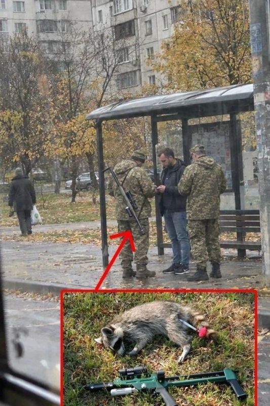 Усыпить и мобилизовать? Харьковский военком вышел на охоту за призывниками с ветеринарным ружьём